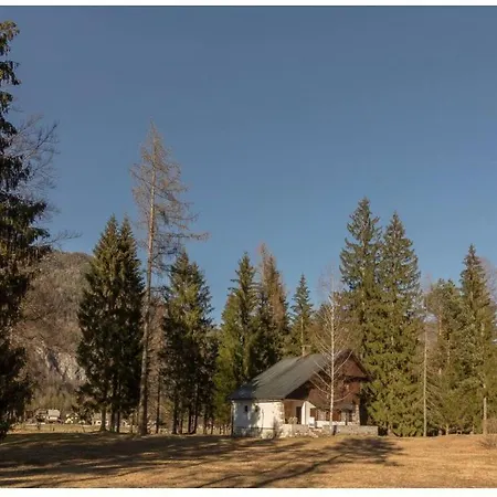 Cozy Mountain Near Kranjska Gora Hébergement de vacances *