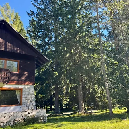 Cozy Mountain Near Kranjska Gora Gozd Martuljek
